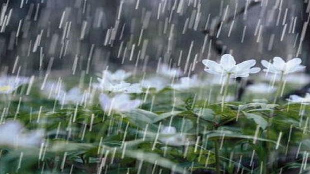 اداره کل هواشناسی آذربایجان شرقی اعلام کرد:تشدید سامانه بارشی در مناطق نیمه شمالی استان از روز پنجشنبه موجب ناپایداری‌های محلی می‌شود.