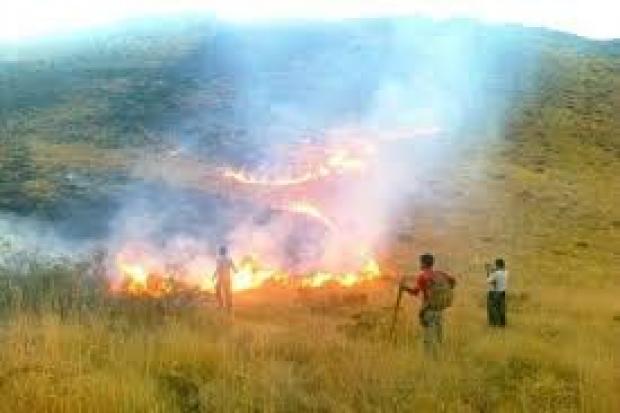 آتش‌سوزی مراتع روستای کیتکه مهاباد مهار شد