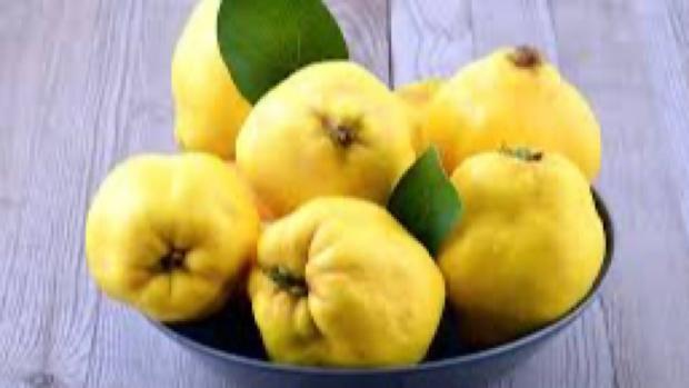یک متخصص تغذیه گفت: بوییدن پوست به تازه باعث ایجاد بیماری آسم می‌شود.