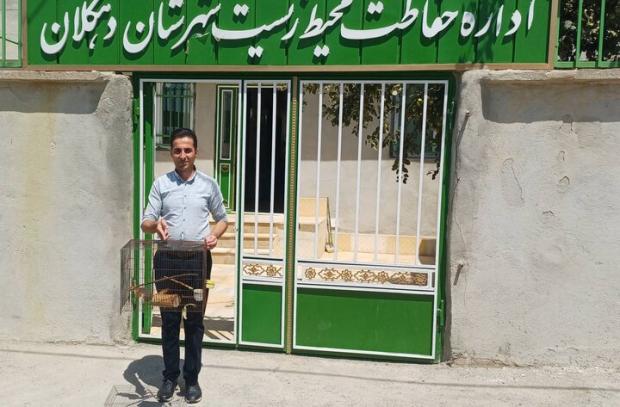 رئیس اداره محیط زیست دهگلان از تحویل یک قطعه سنجاب ایرانی به این اداره توسط همیاران محیط زیست خبر داد و گفت: این سنجاب پس از بررسی‌های کارشناسی در زیستگاه مناسب رهاسازی می‌شود.