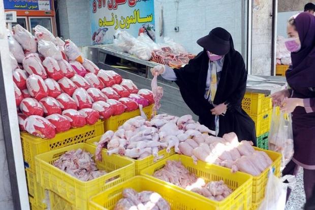 روزانه ۲۲۵ تن مرغ وارد بازار آذربایجان‌غربی می‌شود