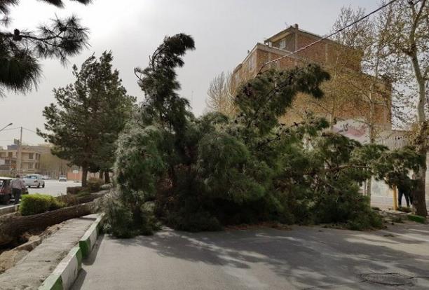 کاهش قیمت‌ خودرو ادامه می‌یابد