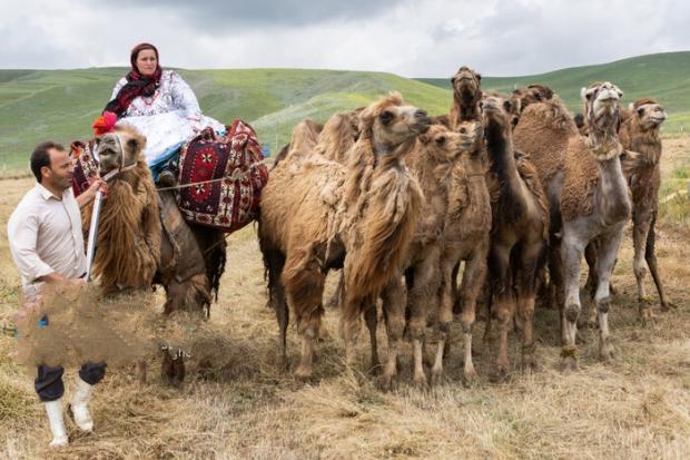  در میان دشت‌ هارنا و زیر باران رحمت الهی، جشنواره فرهنگی ورزشی عشایر ارسباران، رویدادی فراتر از یک مسابقه اسب‌دوانی با روایت اصالت فرهنگی، همبستگی ملی و پایداری عشایر قره‌داغ برگزار شد.