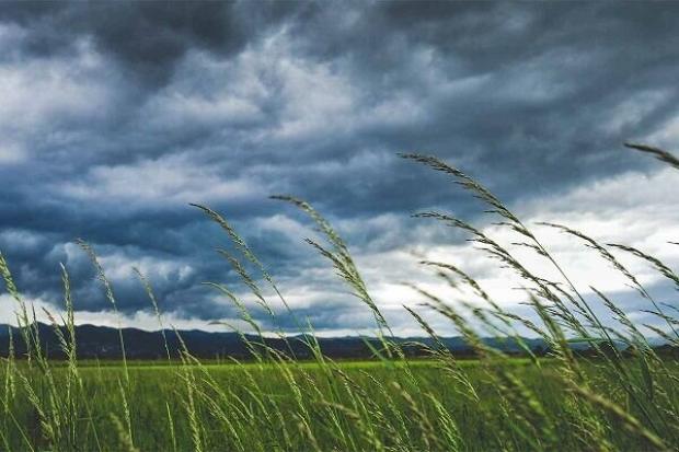 هنرنمایی بانوی مهابادی برای درآمدزایی با ماکت خانه های روستایی