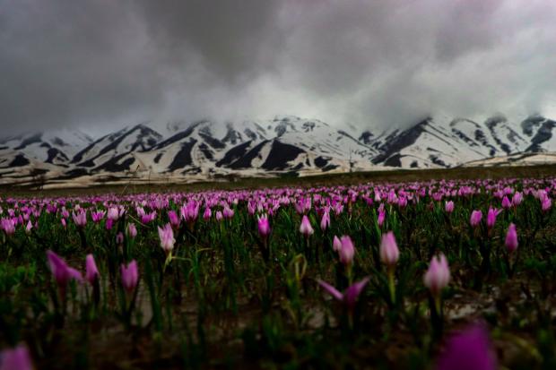 طبیعت زیبای دشت وزینه شهرستان میرآباد 