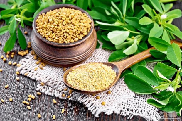 دومین مرحله اردوی استعدادپروری بانوان کشور در لرستان با حضور هفت بدمینتون باز کردستانی برگزار می شود.