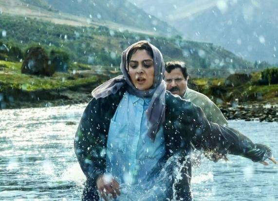 فیلم سینمایی «در آغوش درخت» از میان سه نامزد نهایی با اکثریت آرا به عنوان نماینده سینمای ایران به آکادمی اسکار ۲۰۲۵ معرفی شد.