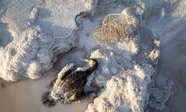 تصویری تکان دهنده از دریاچه ارومیه