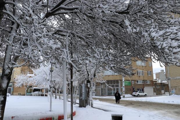 بوکان در یک روز برفی