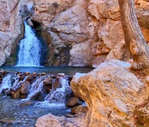 فرماندار شهرستان صحنه گفت: بیش از پنج هزار گردشگر وارد شهرستان صحنه شده است.