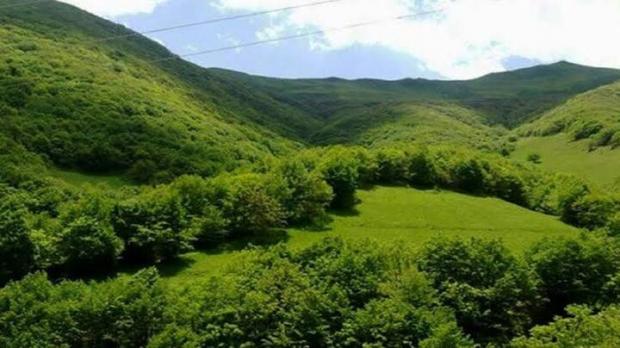 استان کردستان با دارا بودن ۲.۹ میلیون هکتار عرصه طبیعی و ۶۲ درصد پوشش جنگلی و مرتعی، یکی از مهم‌ترین استان‌های کشور در حوزه منابع طبیعی به شمار می‌رود؛ استانی که به گفته مدیرکل سازمان منابع طبیعی و آبخیزداری کردستان، نقش مهمی در تأمین امنیت زیستی، غذایی و حفظ منابع پایه کشور ایفا می‌کند.